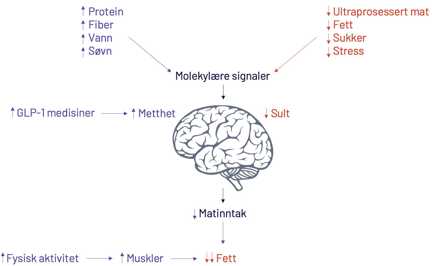 Hull i det norske helsevesenet: Tilgang til fedmebehandling